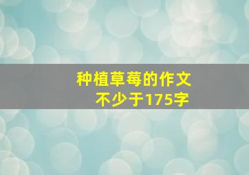 种植草莓的作文不少于175字