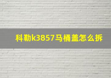 科勒k3857马桶盖怎么拆