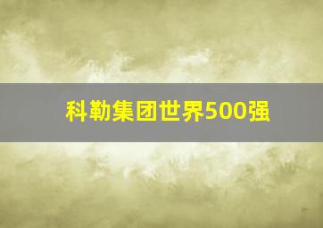 科勒集团世界500强