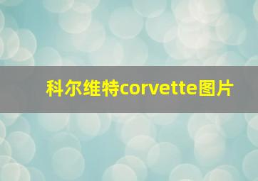 科尔维特corvette图片