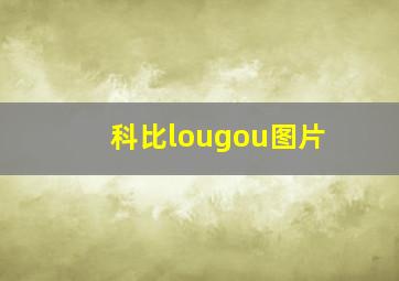 科比lougou图片