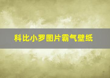 科比小罗图片霸气壁纸