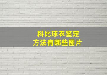 科比球衣鉴定方法有哪些图片