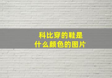 科比穿的鞋是什么颜色的图片