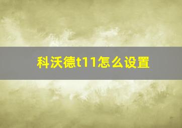 科沃德t11怎么设置