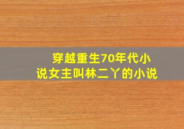 穿越重生70年代小说女主叫林二丫的小说