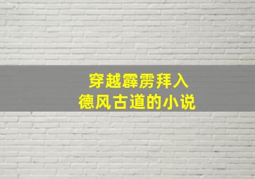 穿越霹雳拜入德风古道的小说