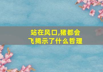 站在风口,猪都会飞揭示了什么哲理