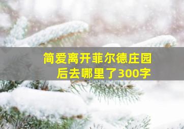 简爱离开菲尔德庄园后去哪里了300字