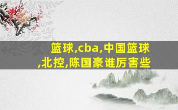 篮球,cba,中国篮球,北控,陈国豪谁厉害些