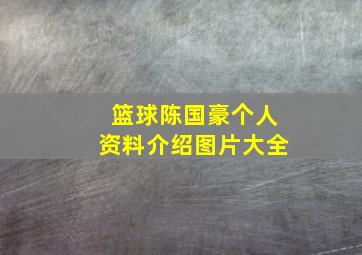 篮球陈国豪个人资料介绍图片大全