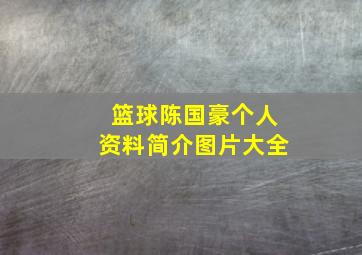 篮球陈国豪个人资料简介图片大全