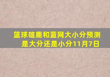 篮球雄鹿和蓝网大小分预测是大分还是小分11月7日