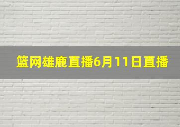 篮网雄鹿直播6月11日直播