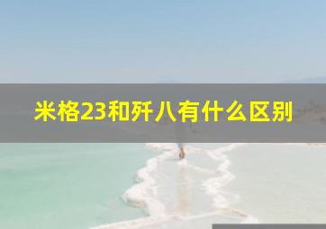 米格23和歼八有什么区别