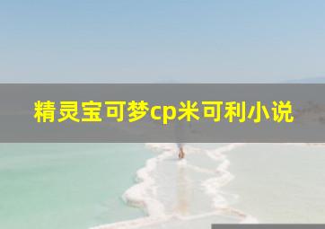 精灵宝可梦cp米可利小说