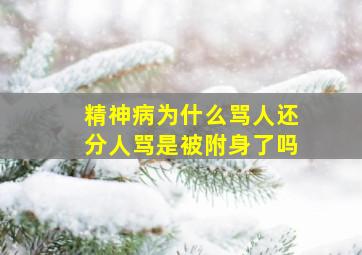 精神病为什么骂人还分人骂是被附身了吗