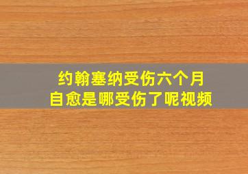 约翰塞纳受伤六个月自愈是哪受伤了呢视频