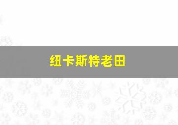 纽卡斯特老田