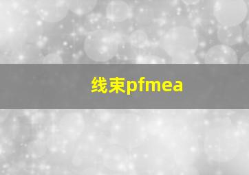 线束pfmea