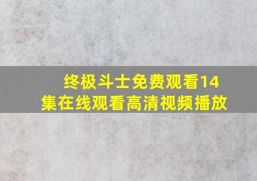 终极斗士免费观看14集在线观看高清视频播放