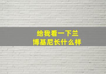 给我看一下兰博基尼长什么样