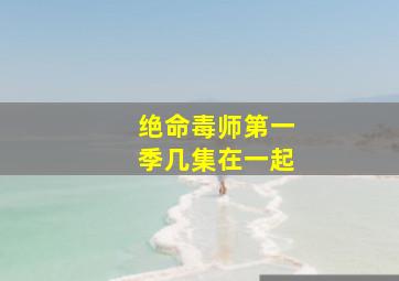 绝命毒师第一季几集在一起