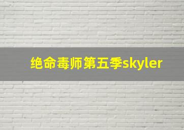 绝命毒师第五季skyler