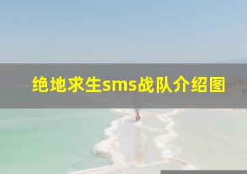 绝地求生sms战队介绍图