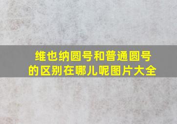 维也纳圆号和普通圆号的区别在哪儿呢图片大全