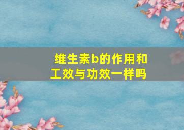 维生素b的作用和工效与功效一样吗