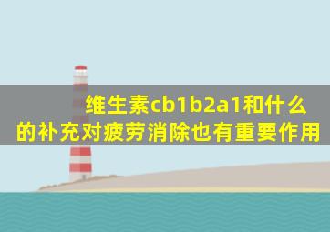 维生素cb1b2a1和什么的补充对疲劳消除也有重要作用