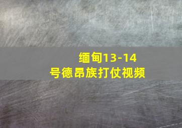 缅甸13-14号德昂族打仗视频