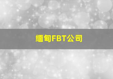 缅甸FBT公司