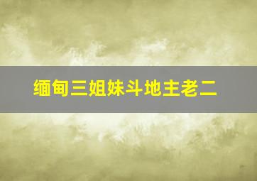 缅甸三姐妹斗地主老二