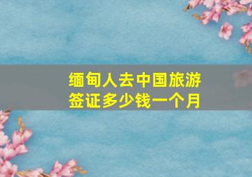 缅甸人去中国旅游签证多少钱一个月