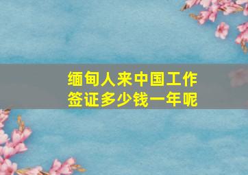 缅甸人来中国工作签证多少钱一年呢