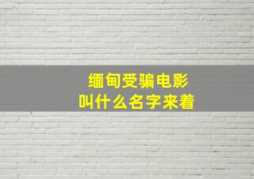 缅甸受骗电影叫什么名字来着