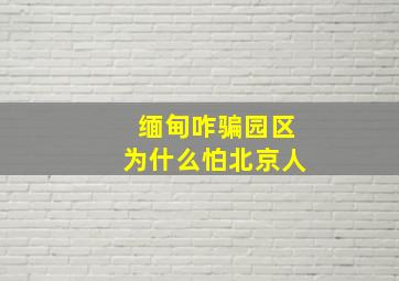 缅甸咋骗园区为什么怕北京人