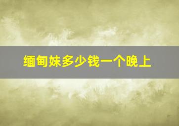 缅甸妹多少钱一个晚上