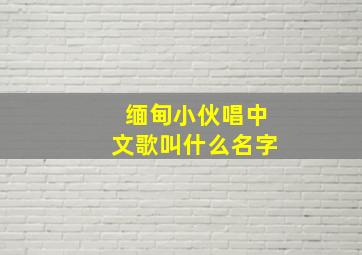 缅甸小伙唱中文歌叫什么名字