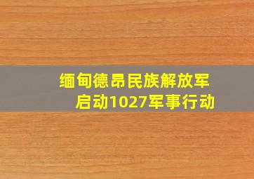 缅甸德昂民族解放军启动1027军事行动