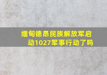 缅甸德昂民族解放军启动1027军事行动了吗