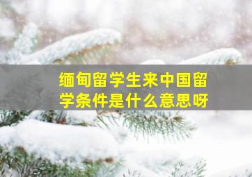 缅甸留学生来中国留学条件是什么意思呀