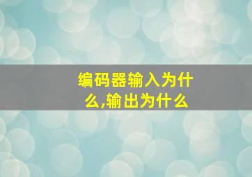 编码器输入为什么,输出为什么