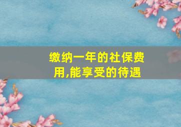 缴纳一年的社保费用,能享受的待遇