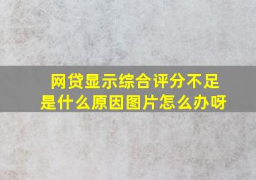 网贷显示综合评分不足是什么原因图片怎么办呀