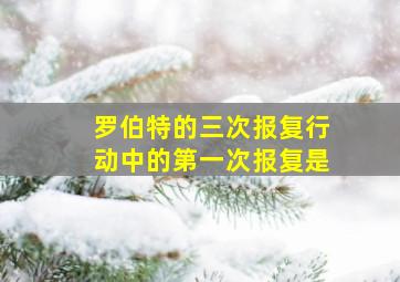 罗伯特的三次报复行动中的第一次报复是