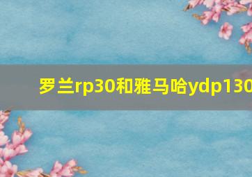 罗兰rp30和雅马哈ydp130