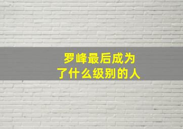 罗峰最后成为了什么级别的人